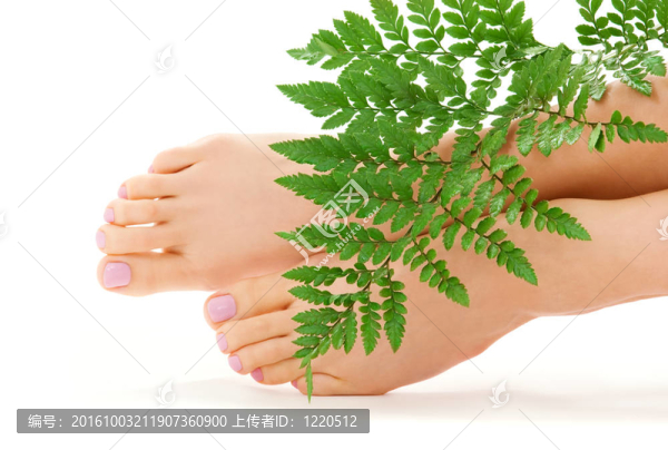 綠葉女腳