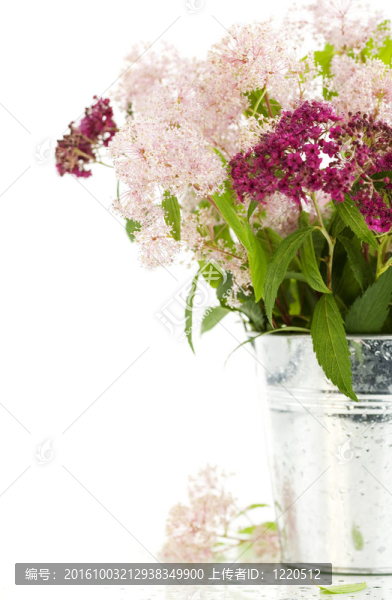 Bouqet的花