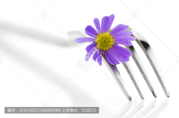 叉和花