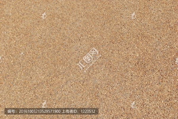 鮭魚路面背景