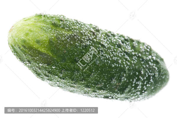 水上黃瓜