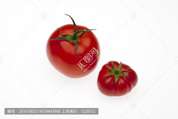 兩個(gè)西紅柿一個(gè)生物，一個(gè)貿(mào)易與路徑