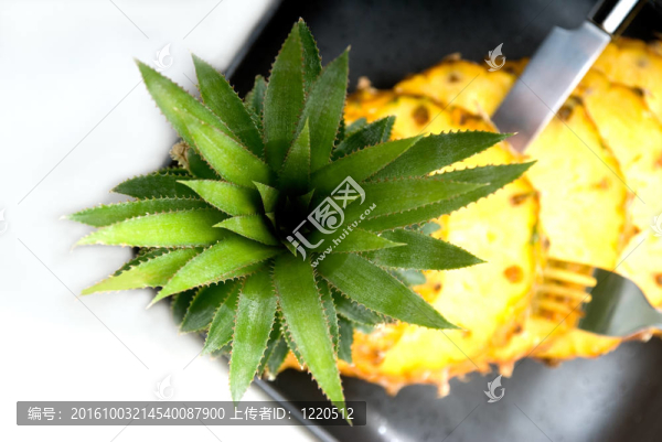 菠蘿