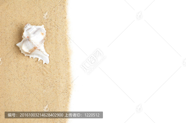 白色海灘現(xiàn)場