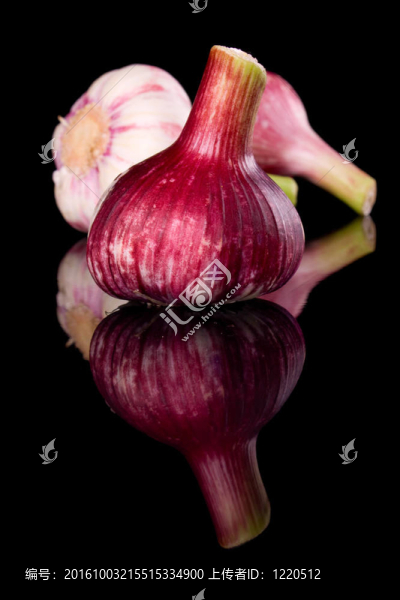 大蒜鱗莖