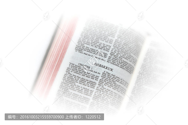 圣經(jīng)打開(kāi)哈巴谷的小插曲