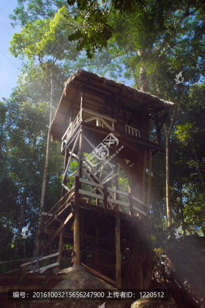 魔法叢林小屋