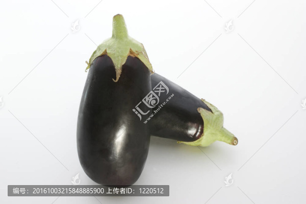 菜園里的新鮮有機(jī)茄子