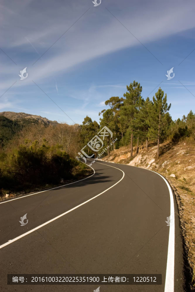 有多條曲線的山路