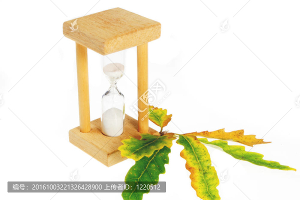 雞蛋定時器和葉子