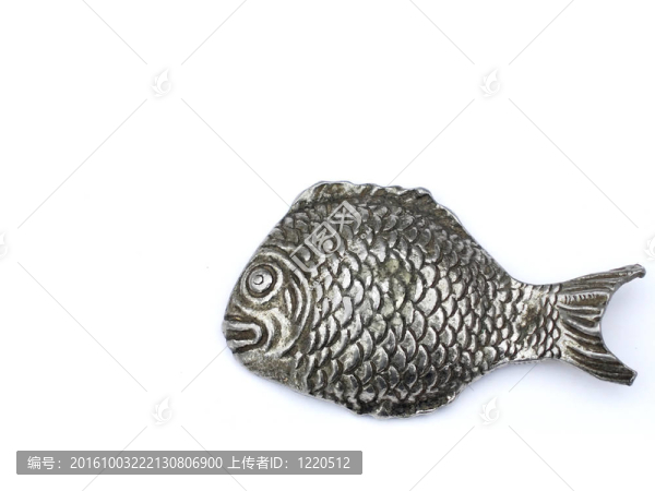 銀色的魚