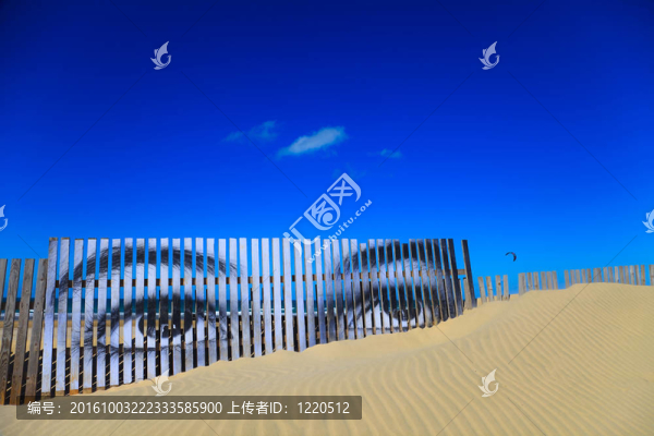 沙丘上的眼睛