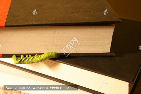 蝸桿和書籍