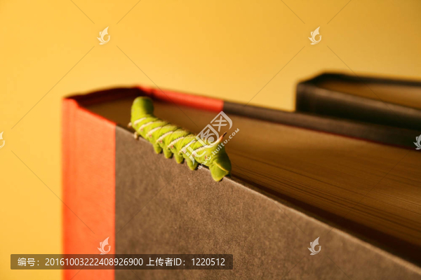 書呆子