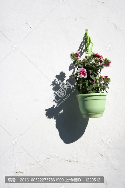 花盆