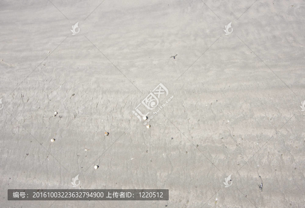 沙的紋理