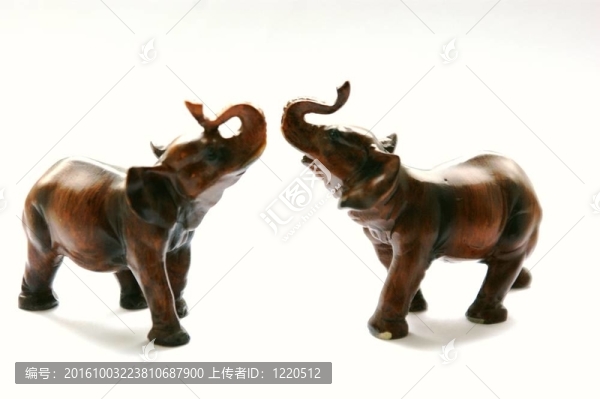大象