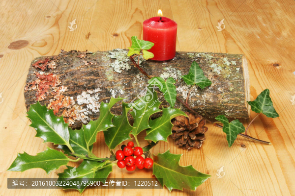 圣誕節(jié)日志