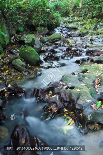 河道洞地形