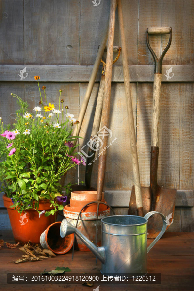 花園工具和一壺夏天的花