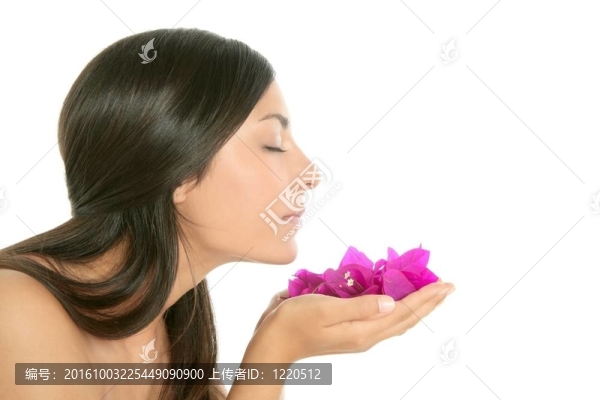 美麗的印度和杜鵑花