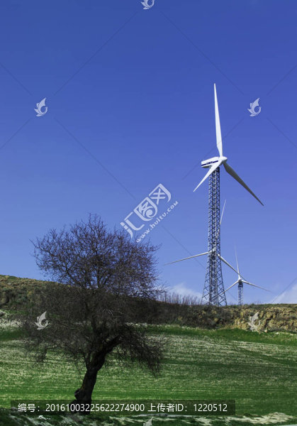 意大利；西西里島；Eolic能源發(fā)電機組