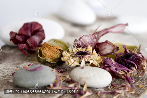 干燥的花依舊