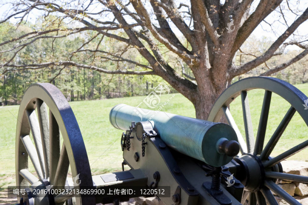 Field樹上的大炮
