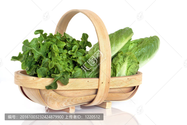 2，生菜品種在鄉(xiāng)村籃