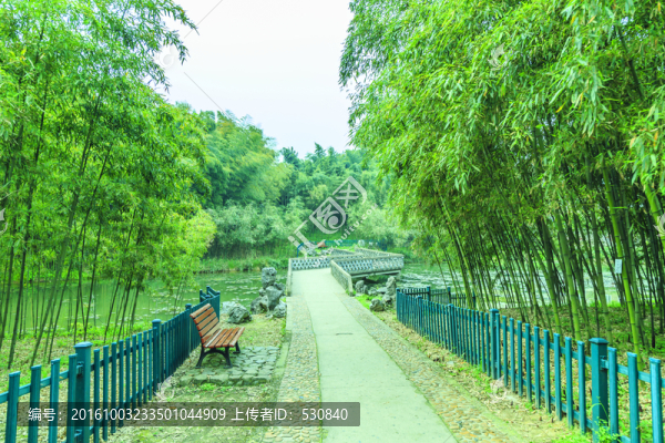 竹林