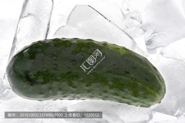 冰上的黃瓜