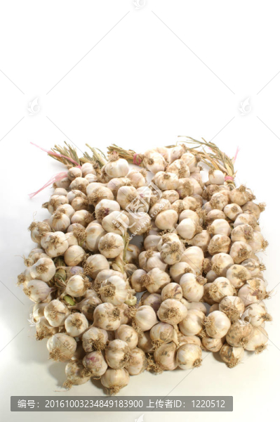 大量的從外地新鮮的大蒜