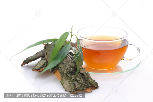 茶柳02