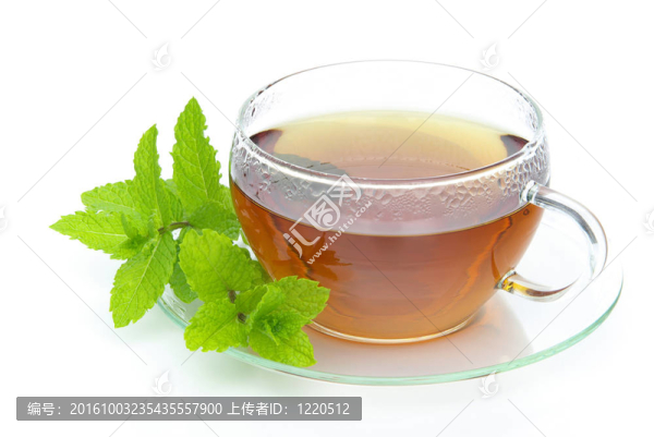 茶薄荷03