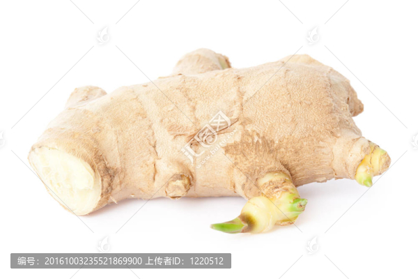 整個生姜植物在白色與自然陰影和剪輯路徑隔離