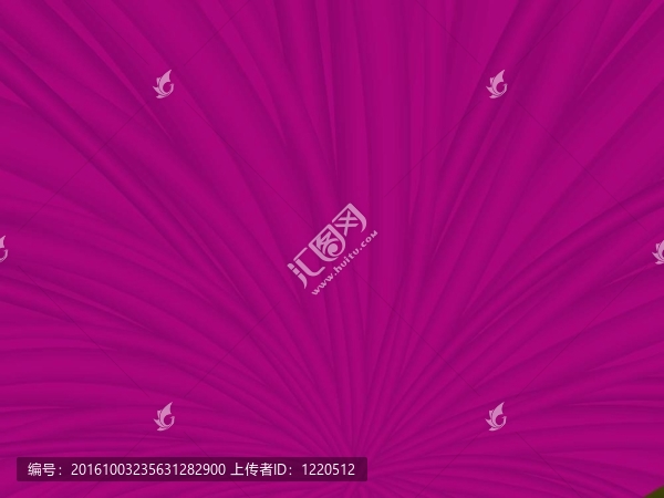 紫色的霧