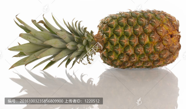 菠蘿