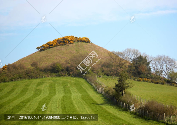 春天的草地上的小山