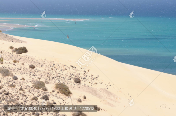 沙丘在Playa,de,Sotavento加那利島；富埃特文圖拉島；西班牙