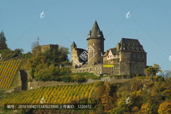 Stahleck,01