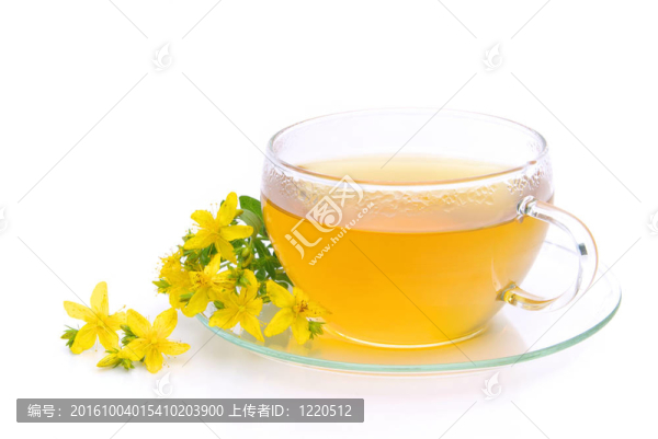 茶圣約翰草06