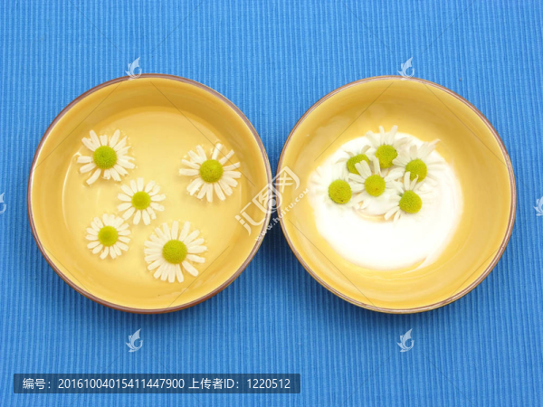 在藍色背景上的陶瓷碗水和霜洋甘菊花