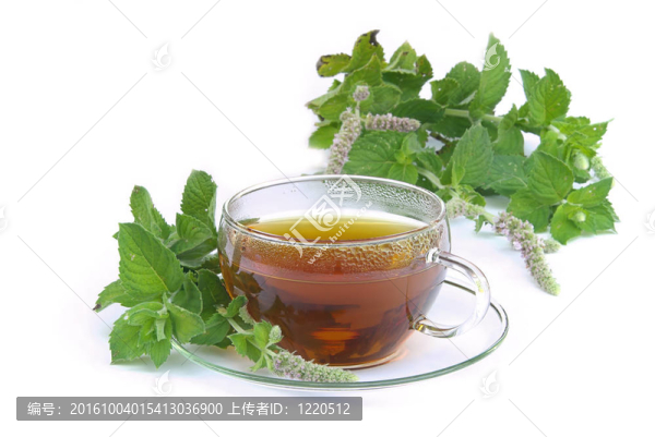 檸檬薄荷茶02