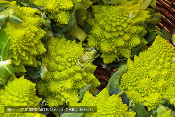 菜花01