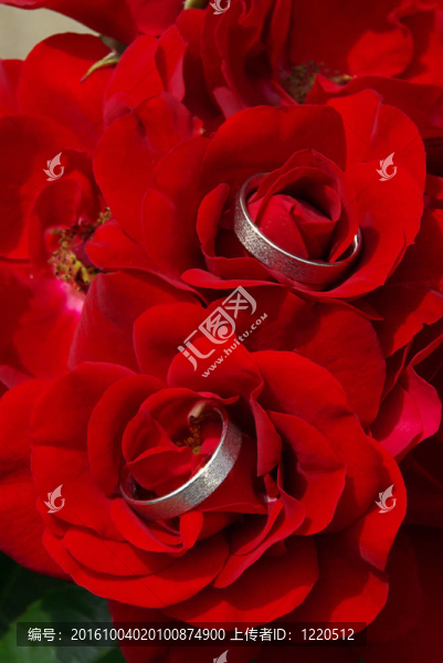 結(jié)婚戒指01
