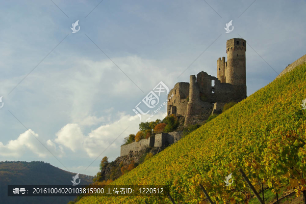 Ehrenfels,13