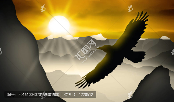 這只鳥