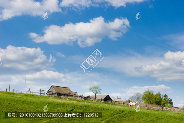農村場景
