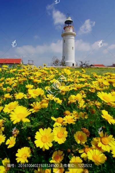 燈塔在Paphos
