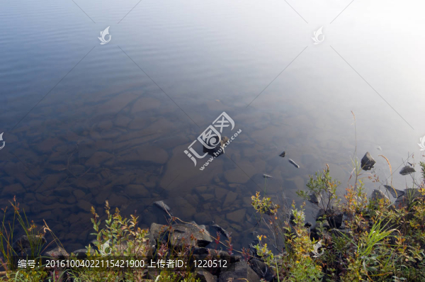森林湖